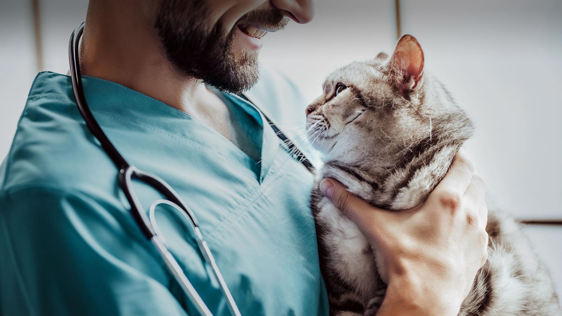 Bahçelievler Veteriner